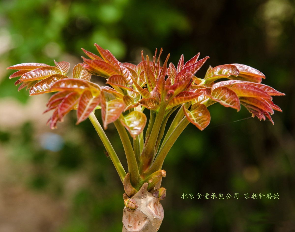 b38bdb6e13a540bbefd7aa42213ac314_看圖王_副（fù）本_副本.jpg